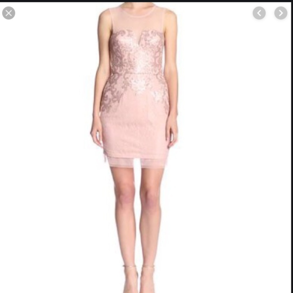 BCBGMAXAZRIA Abilgail Dress in Dusty Pink